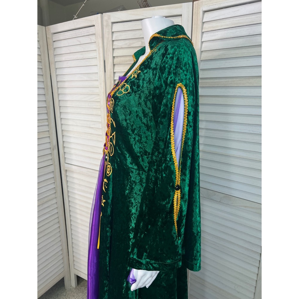 Hocus Pocus Winifred Sanderson Halloween Cosplay Velvet Medieval Gown Medium - Picture 16 of 16